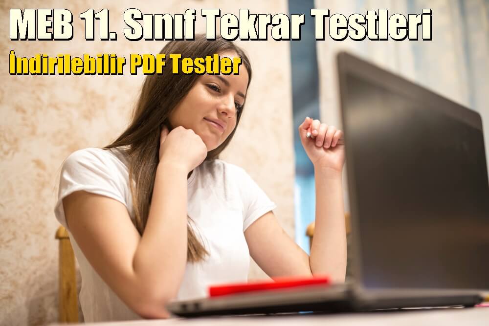 MEB 11. Sınıf Tekrar Testleri (Tüm Derslerin İndirilebilir PDF'leri)