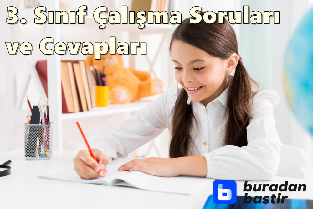 İlkokul 3. Sınıf Çalışma Soruları ve Cevapları PDF (Tüm Dersler)